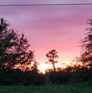 Meet your Posher, Ira